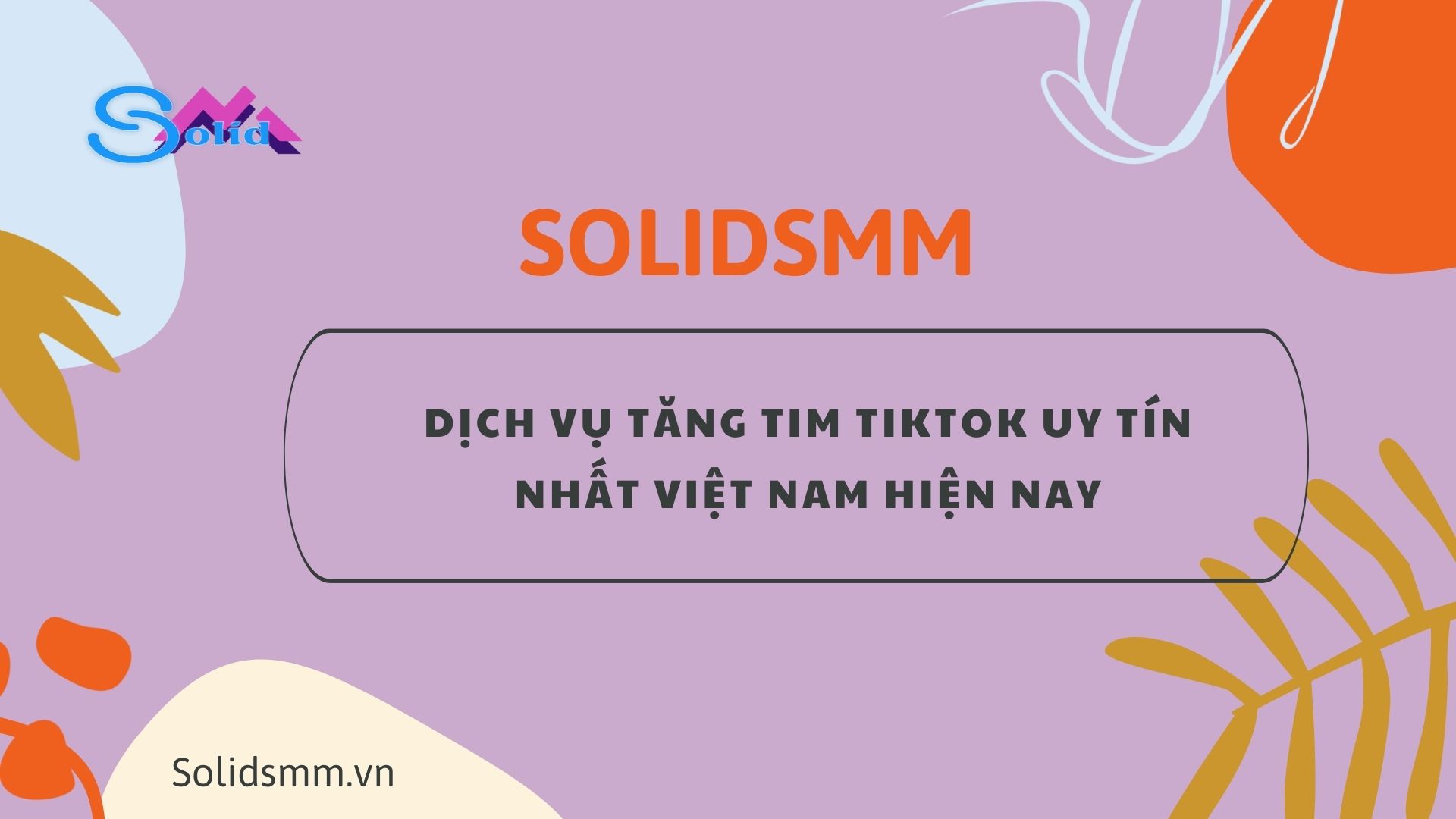 SolidSMM - Dịch vụ tăng tim Titkok uy tín nhất Việt Nam hiện nay